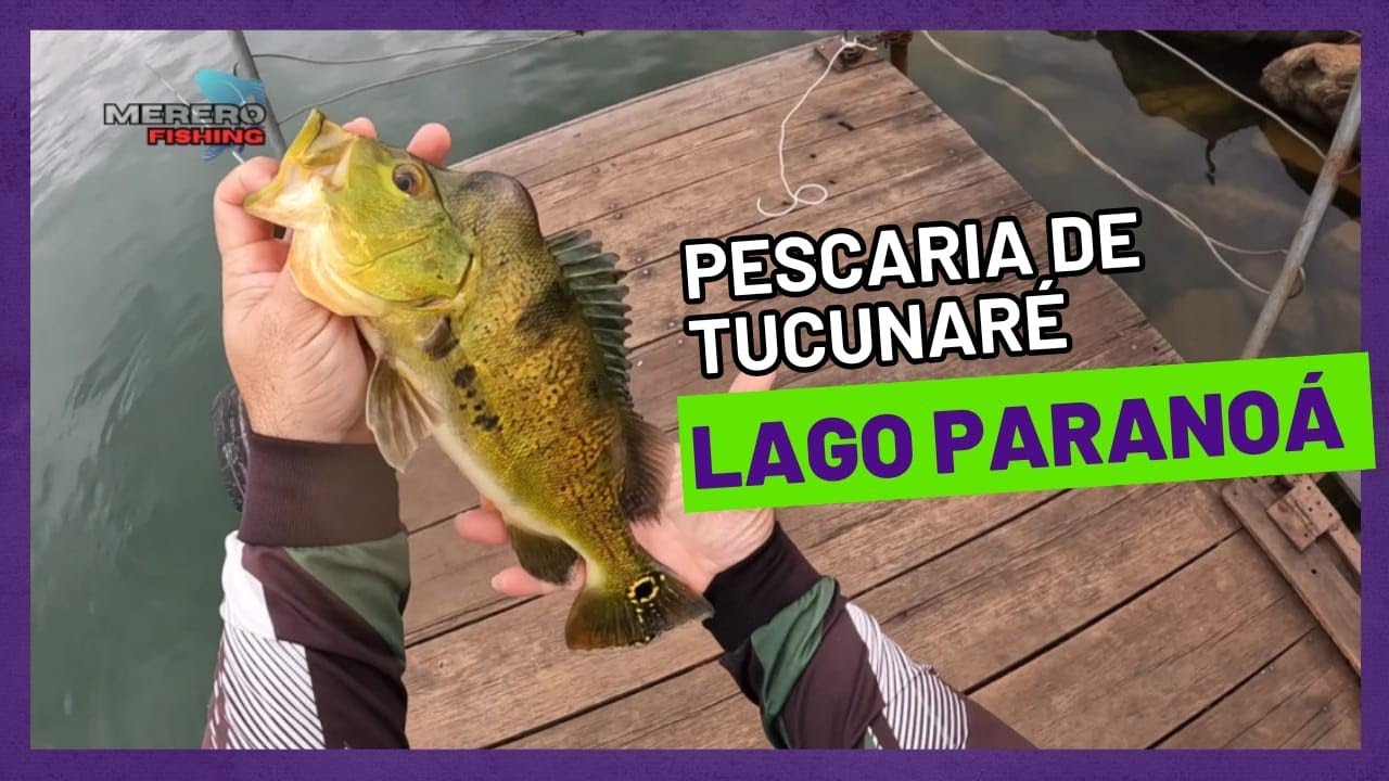 Aprenda como pescar #TUCUNARÉ no lago Paranoá com pouco equipamento. Dicas de pesca.
