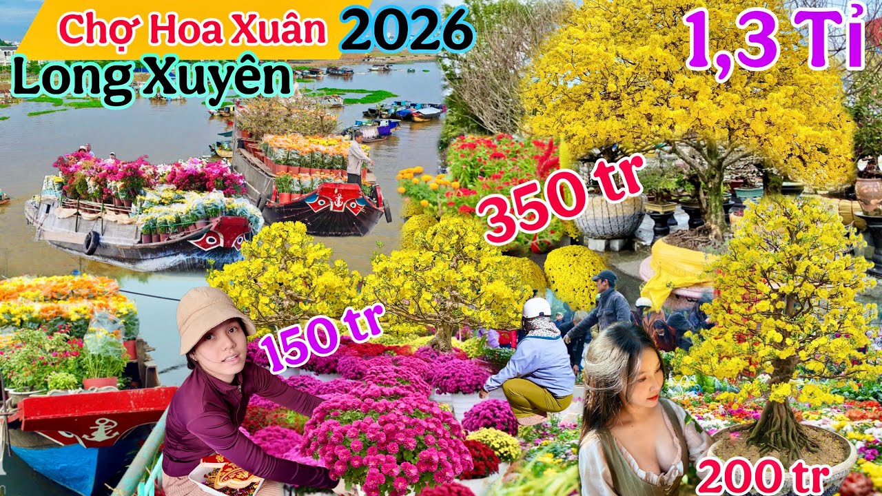 Chợ Hoa Xuân 2026 Long Xuyên An Giang cập nhật giá Mai ,Bánh ,lồng đèn bất ngờ với điều này...