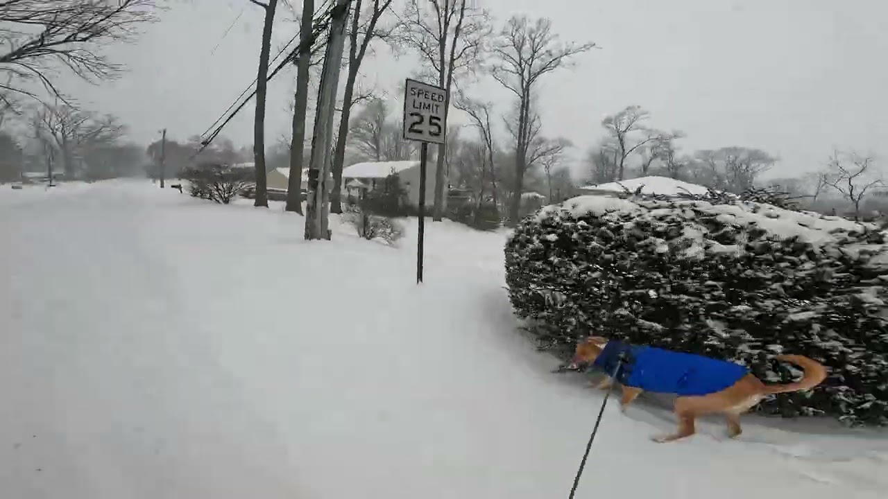 Snow 1 25 26 GX010615