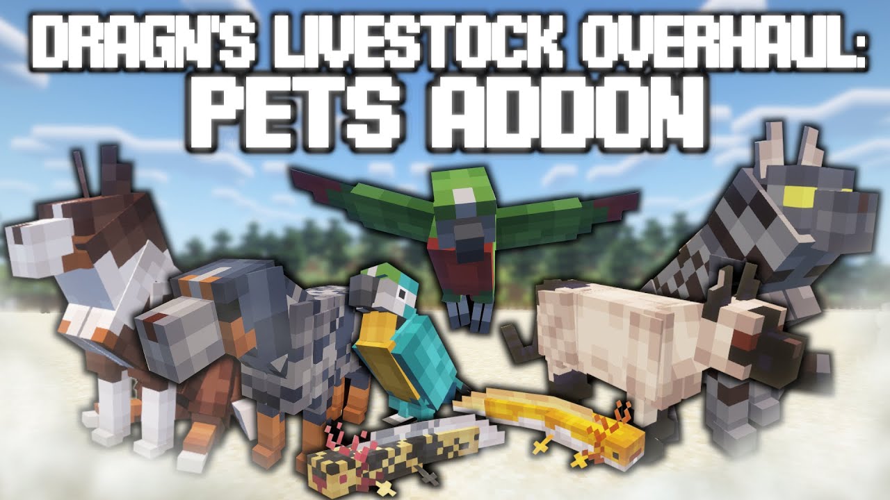 PETS ADDON//РЕАЛИСТИЧНЫЕ ЖИВОТНЫЕ//ЧАСТЬ 3//ПОЛНОЕ РУКОВОДСТВО ПО МОДУ ДЛЯ MINECRAFT 1.20.1 FORGE