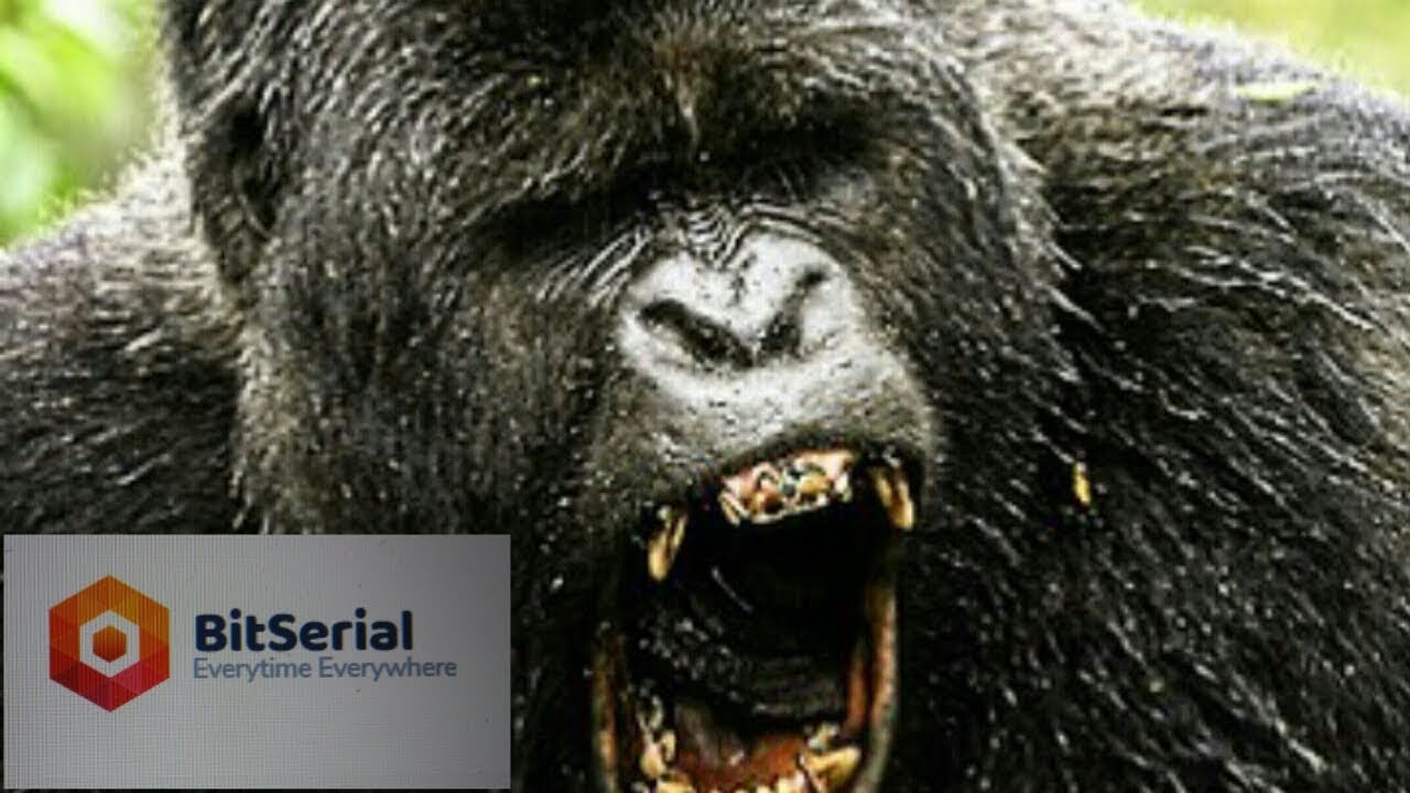bitserial