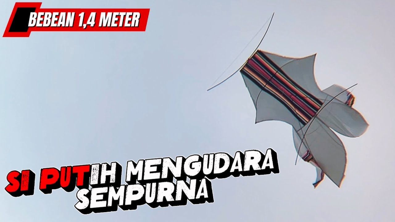 MENGUDARA SEMPURNA I TES TERBANG LAYANGAN BEBEAN 1,4 METER DI SAWAH