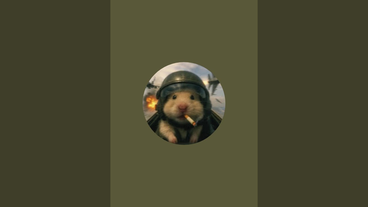 تريدات ماب السرقه مطلوب روب وهايدرا دراقون