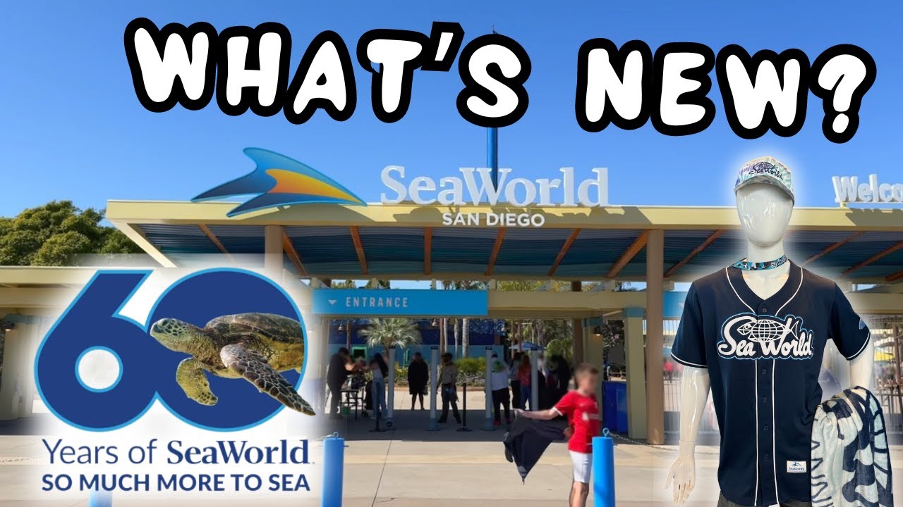 SEAWORLD UPDATE: What's New at SeaWorld San Diego - Wait Times, Upcoming Events & Construction.