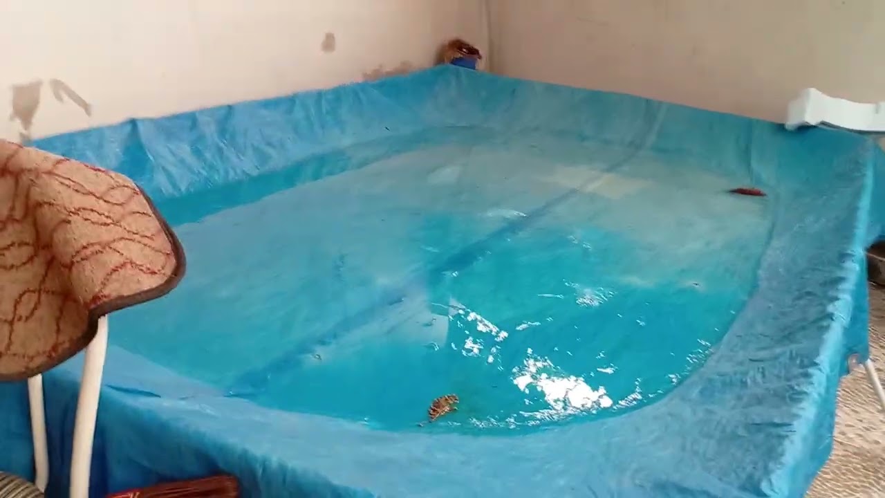 MEU DIA PRODUTIVO, FAZENDO A MASSA DO BOLO DA MINHA MÃE 
