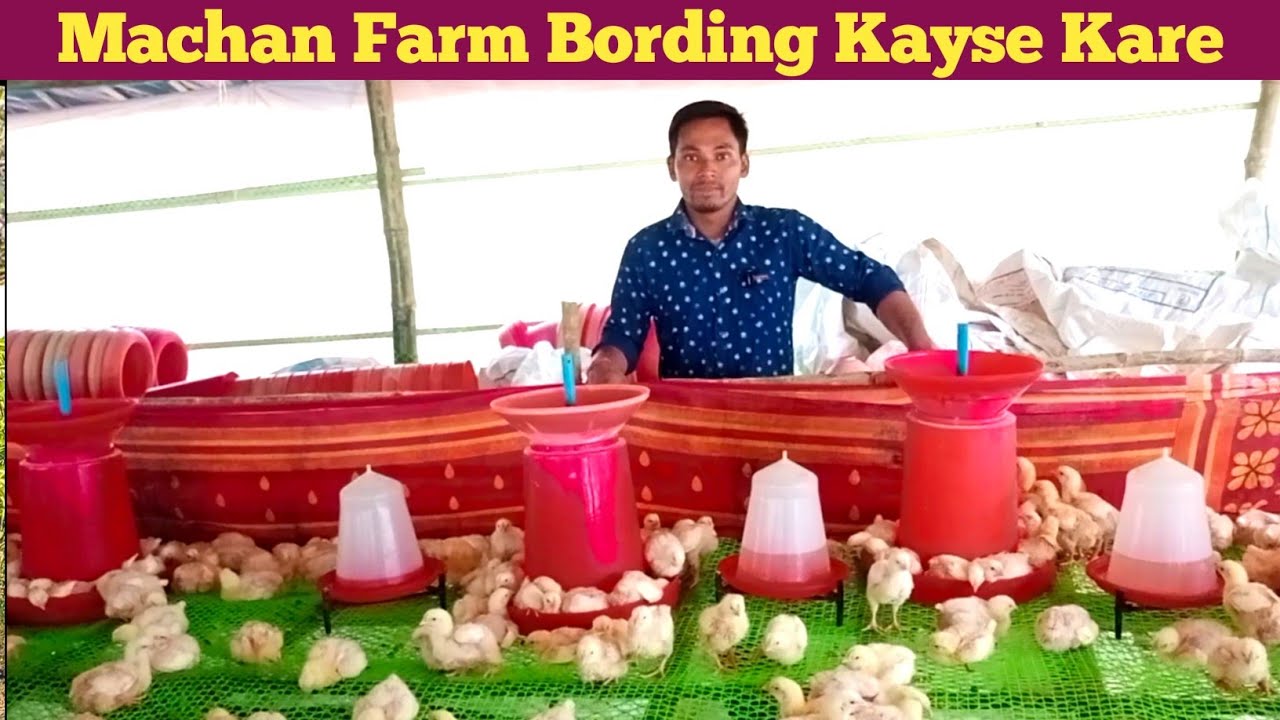 Machan(Cage) Farm Me Bording Kyse Kare || मचान पर बोर्डिंग कैसे करें