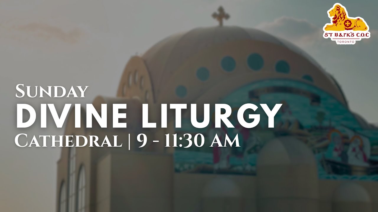 Cathedral | Sunday Divine Liturgy - Feb 8, 2026