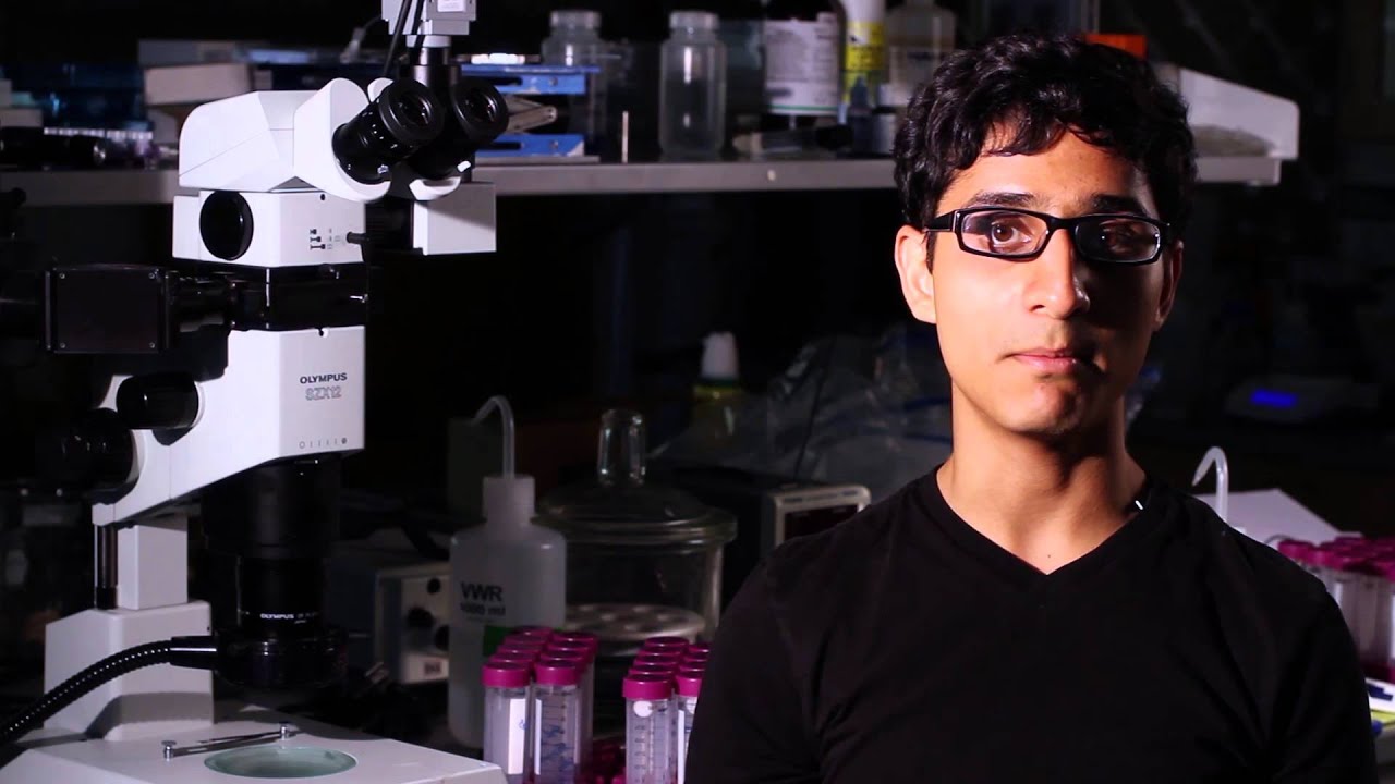 Programmable Bio-Nano-Chip Technology Video