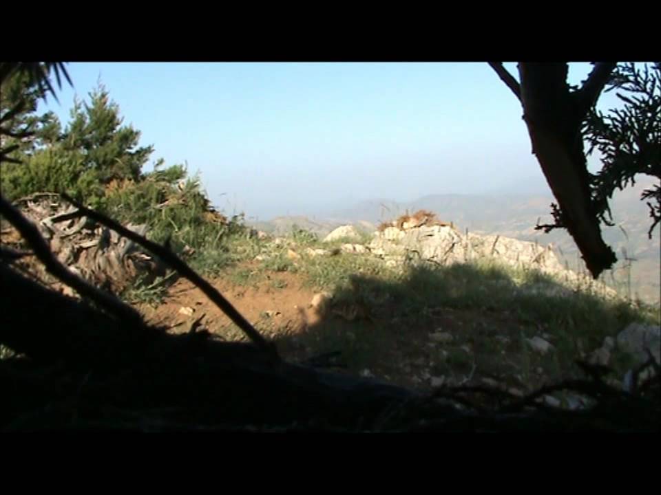 2011 balik mehmet keklik avi K.Maras Düzbag
