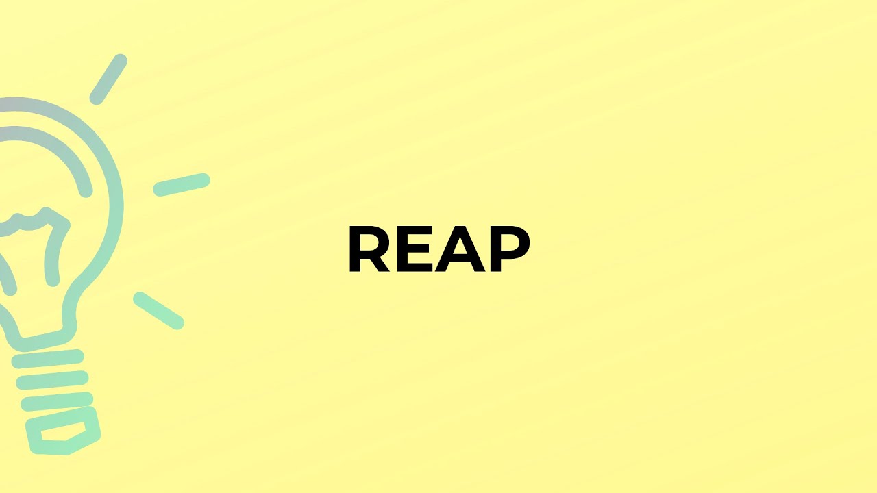 What is the meaning of the word REAP?