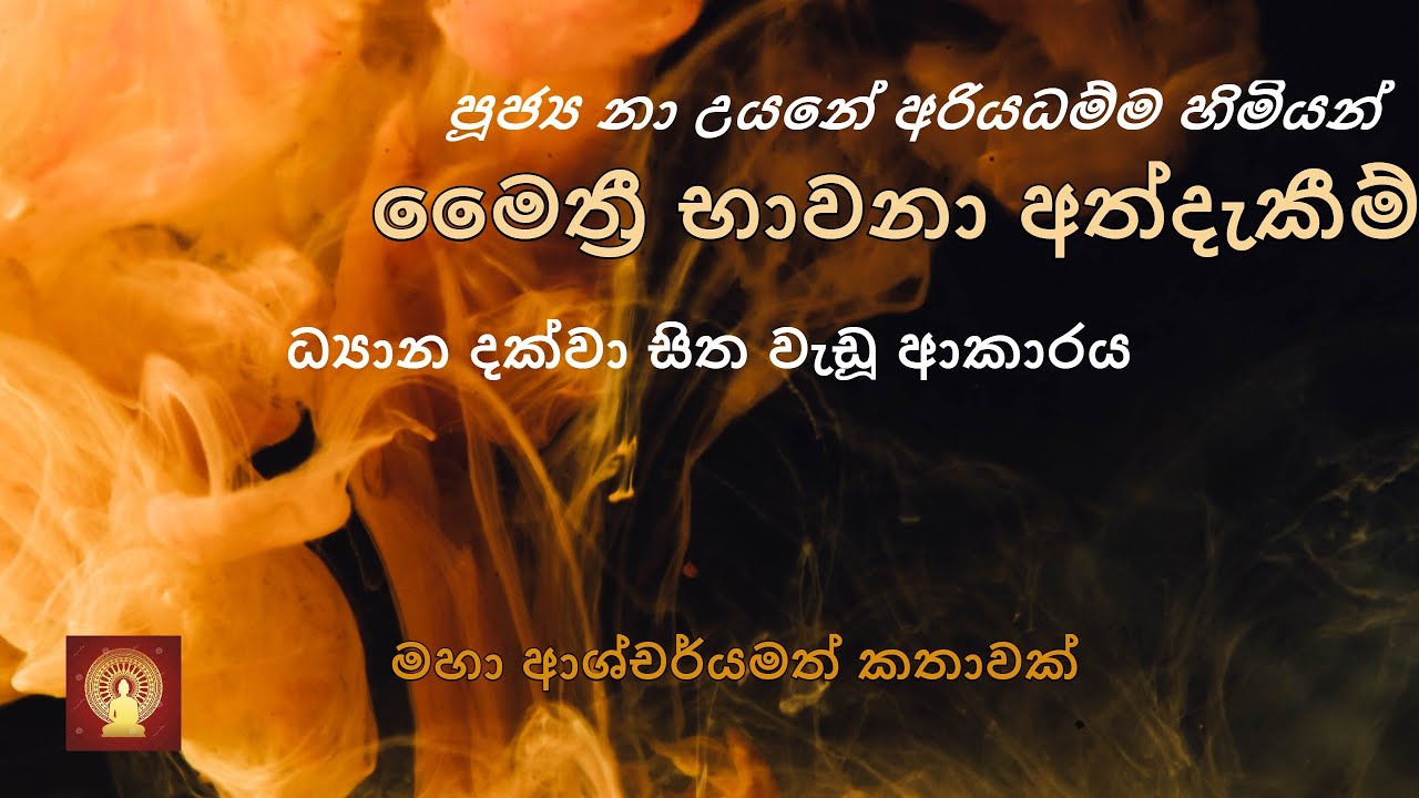 පූජනීය නා උයනේ අරියධම්ම හිමියන්ගේ භාවනා අත්දැකීම් ︱ මෛත්‍රී භාවනාව - Ariyadhmma Thero's Practises