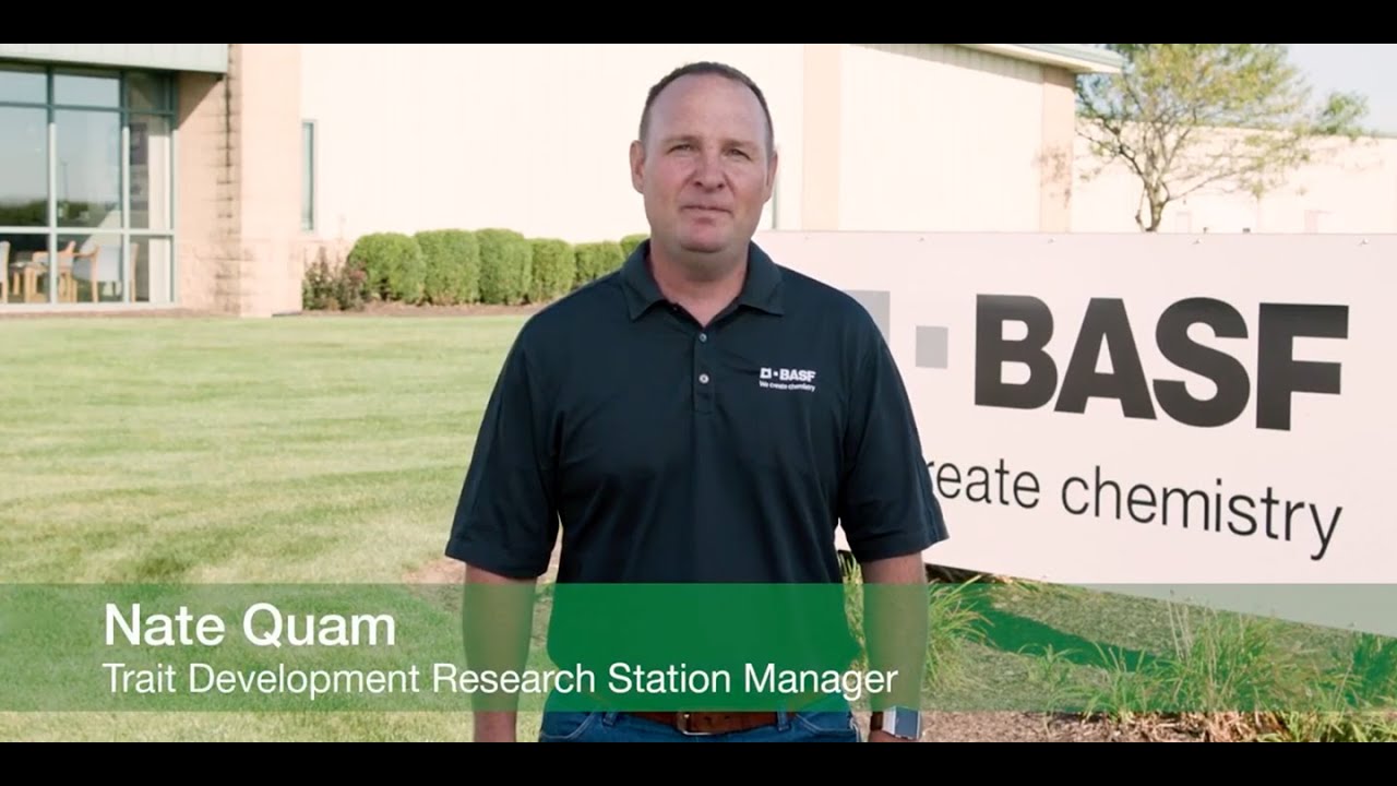 Crop Systems Approach &ndash; Managing Soybeans to Maximize Yield