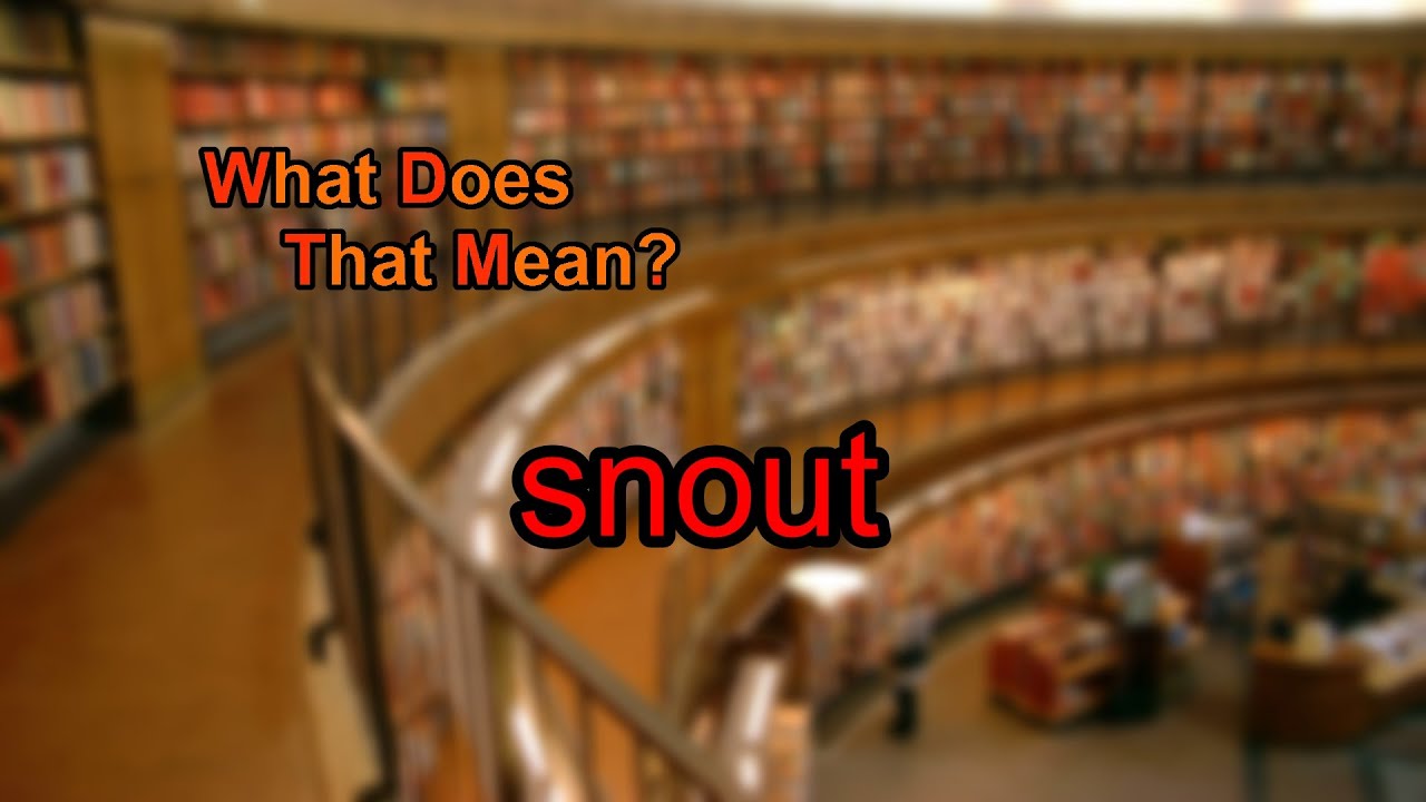 What does snout mean?