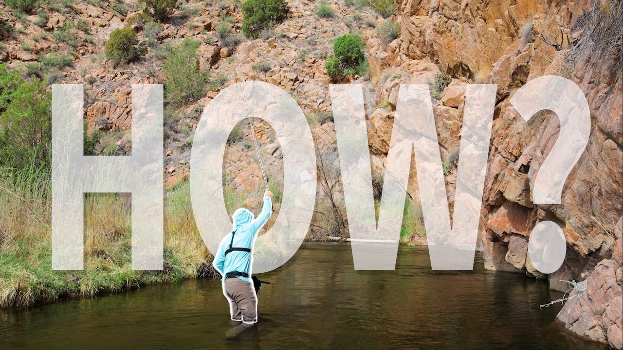 Trout Fishing an ACTUAL DESERT OASIS? (This is Crazy)