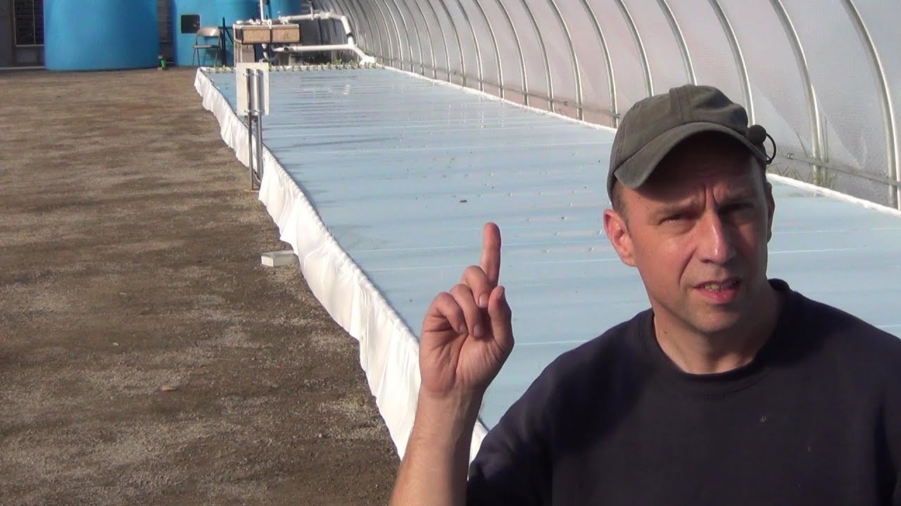 Большая аквапоническая теплица — Часть 11 — Грядка DWC