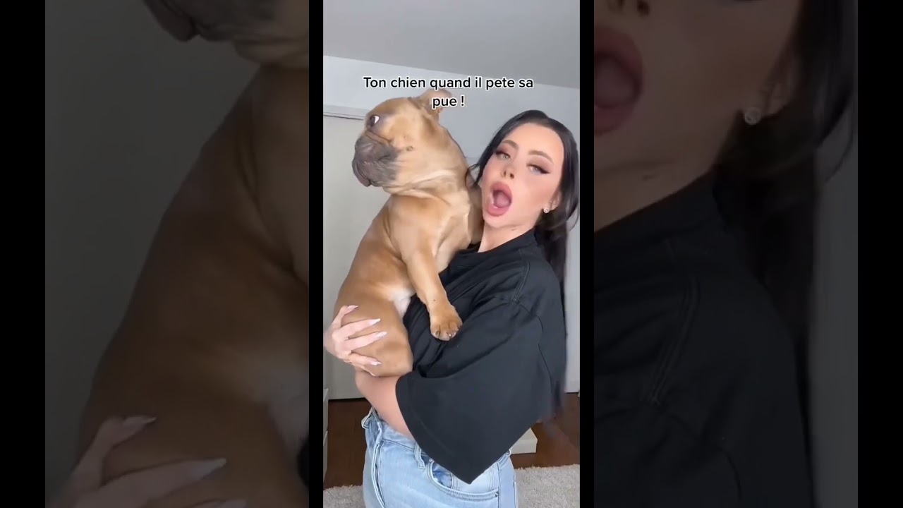 loufitlove avec son chien / tiktok 😍😃#shorts #loufitlove @Loufitlove