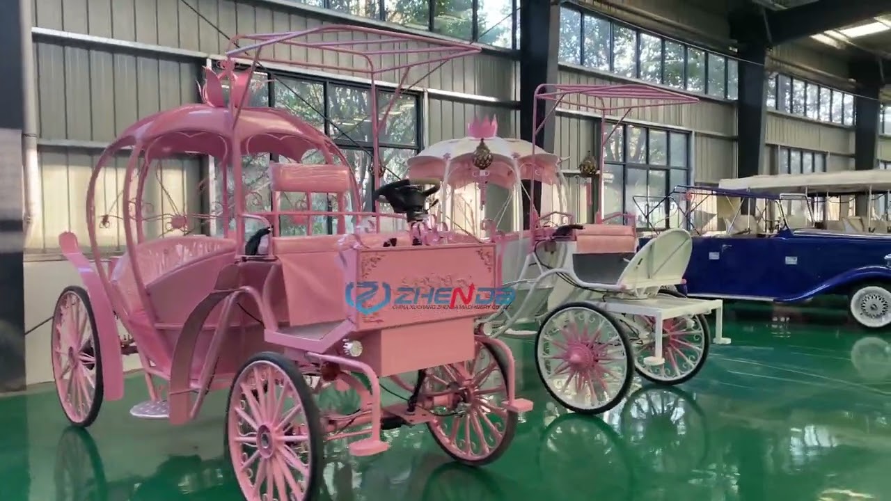 Hot Sale Cinderella Cart Pumpkin Horseless Buggy Christmas Wedding Horse Carriage for Sale