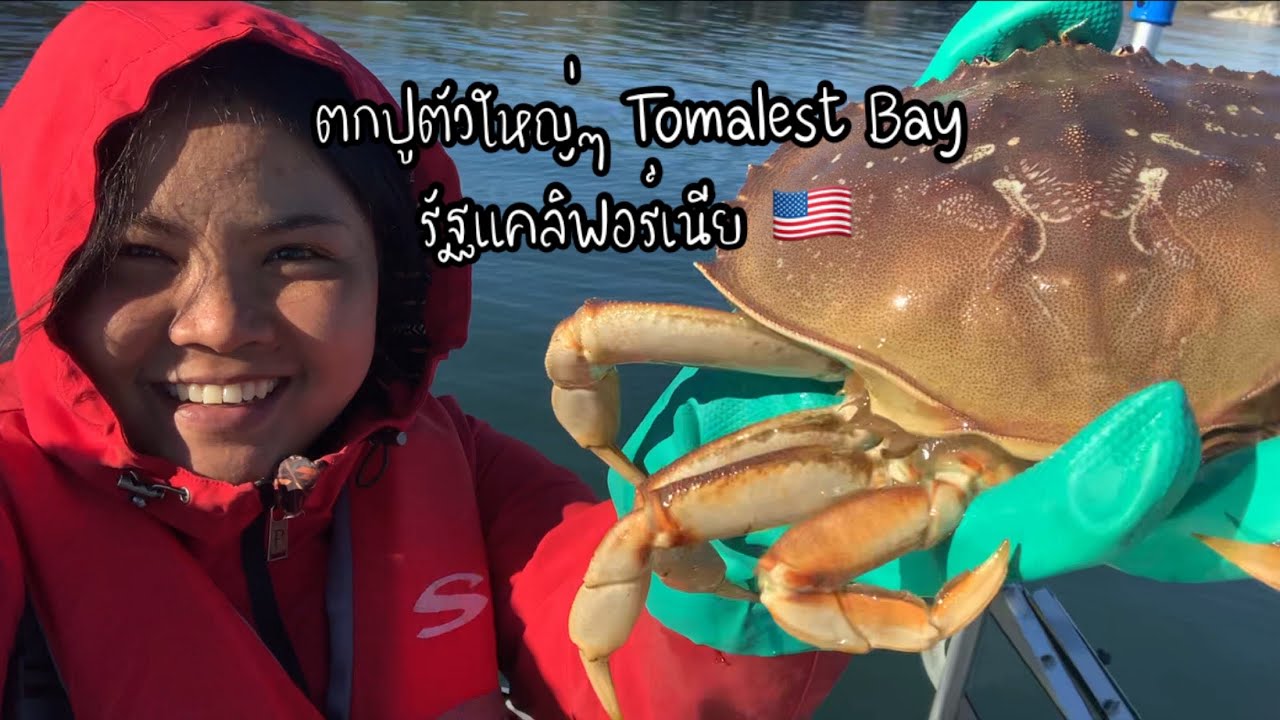 EP.198 ตกปูตัวใหญ่ๆ ในอเมริกา🇺🇸ปูเยอะ ตกสนุกมากๆ