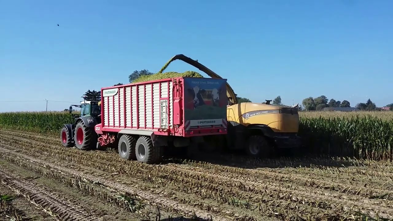 Kukurydza 2020 Gr Woźniak