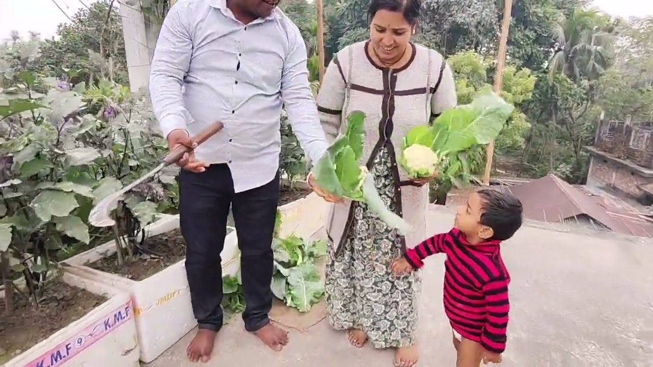 বাবার বাড়ির ছাদের ওপর সবজি 