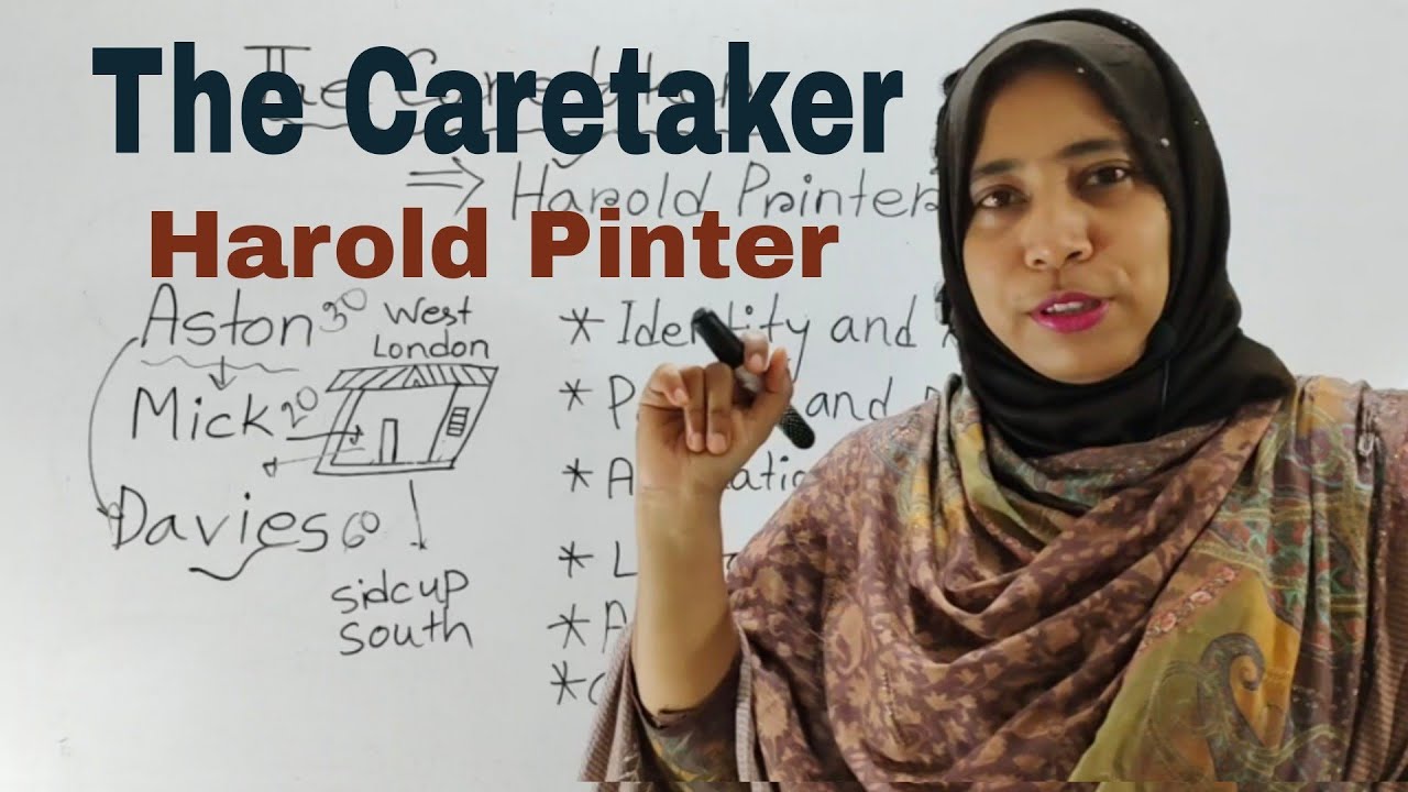 The Caretaker By Harold Pinter Summary in Bangla | বাংলা লেকচার | The Caretaker Bangla lecture |