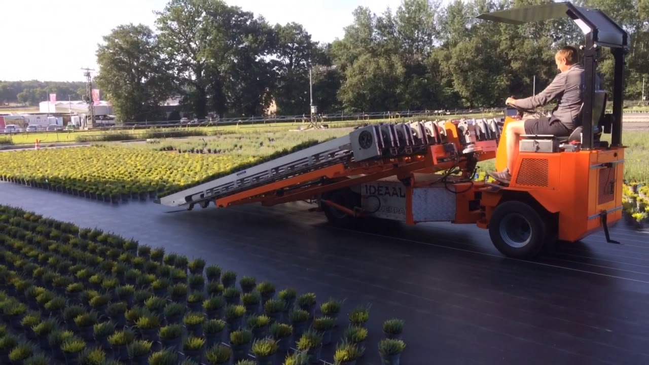 Potplanten uitzetten met Ideaal Sherpa