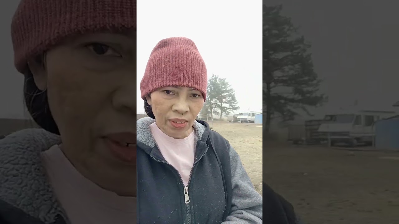 PINAY FARMER IN AMERICA!🇺🇲 STRAWBERRY SHOOTS TRANSPLANTING! PINAY COUPLE IN USA! ❤️🇵🇭🇺🇲