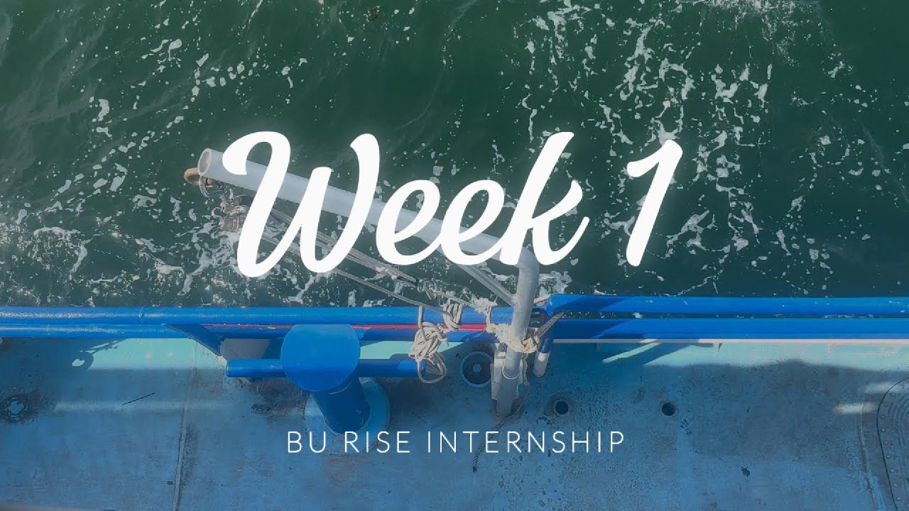 BU RISE Internship Vlog Week 1 | Cruise +July 4th + Food + Lab