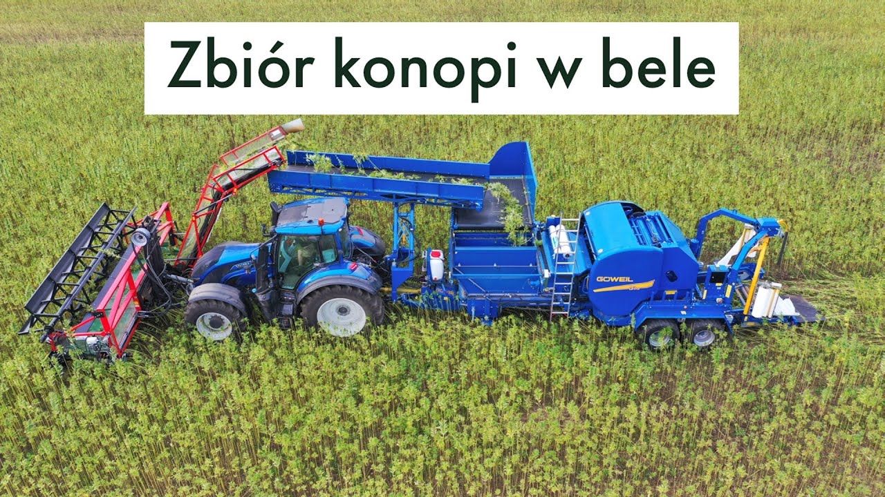 Konopie, żniwa konopne z GÖWEIL w bele | Maszyny rolnicze w Polsce