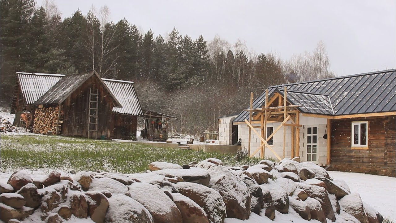 Building a house in the Forest for Animals in severe frost