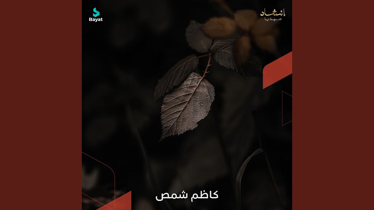 بين الركام