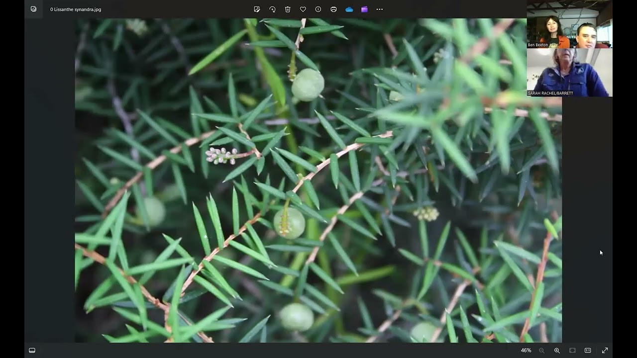 Dr Sarah Barrett Selected Endemic Plants of the western Fitzgerald River National Park