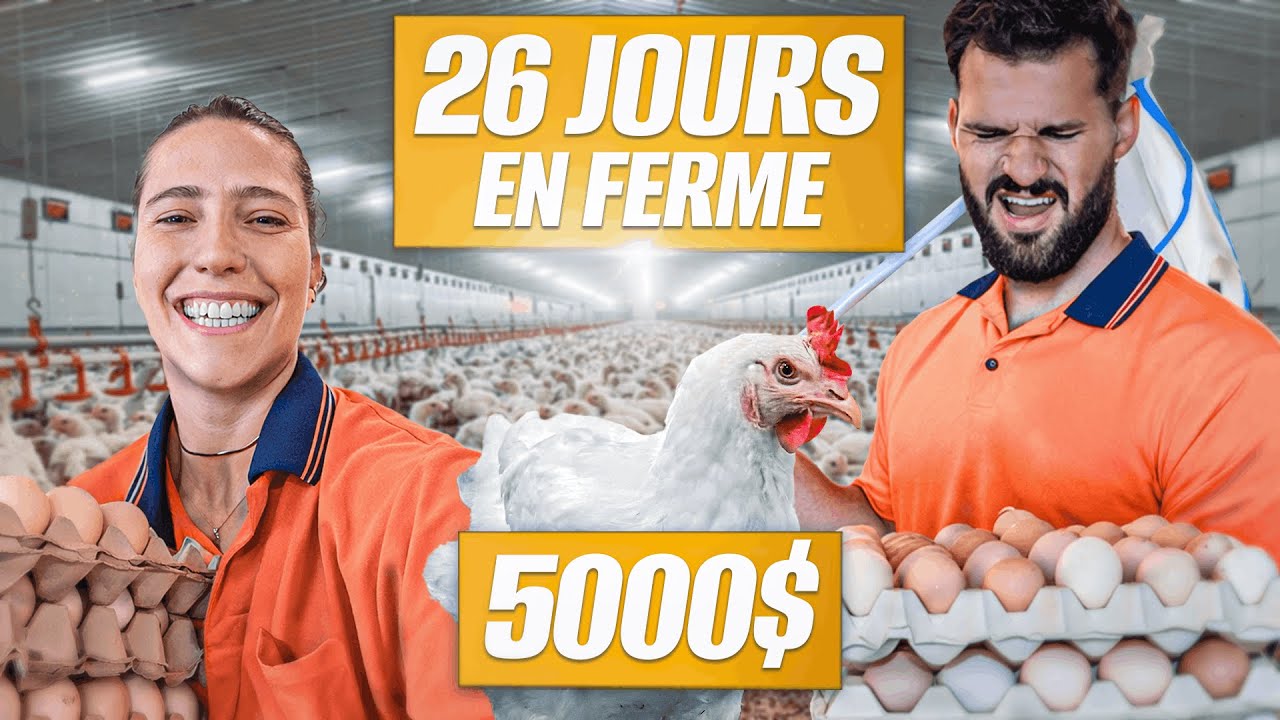 PVT Australie : 5000$ pour ramasser des ŒUFS (on est KO)