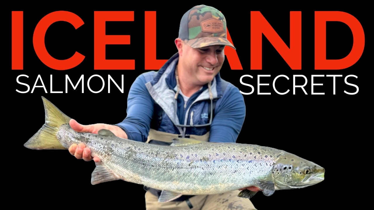Fly Fishing for Atlantic Salmon in Iceland: Top Tips, Tactics & Must-Have Flies!
