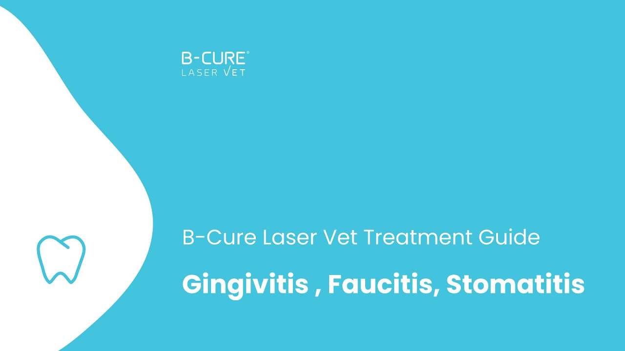 B-Cure Laser Vet Treatment Guide: Gingivitis , Faucitis, Stomatitis