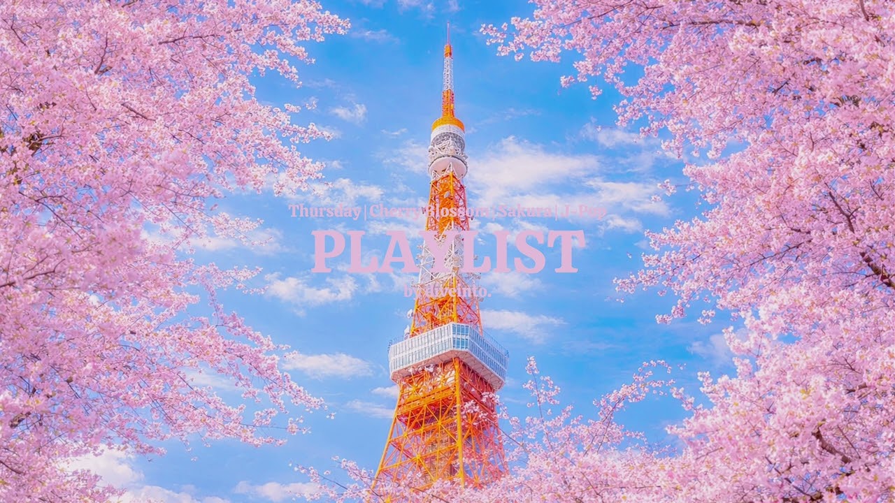 벚꽃이 흩날리는 저녁 8시, 봄 냄새 가득한 J-Pop 인디 밴드 플레이리스트 🌸