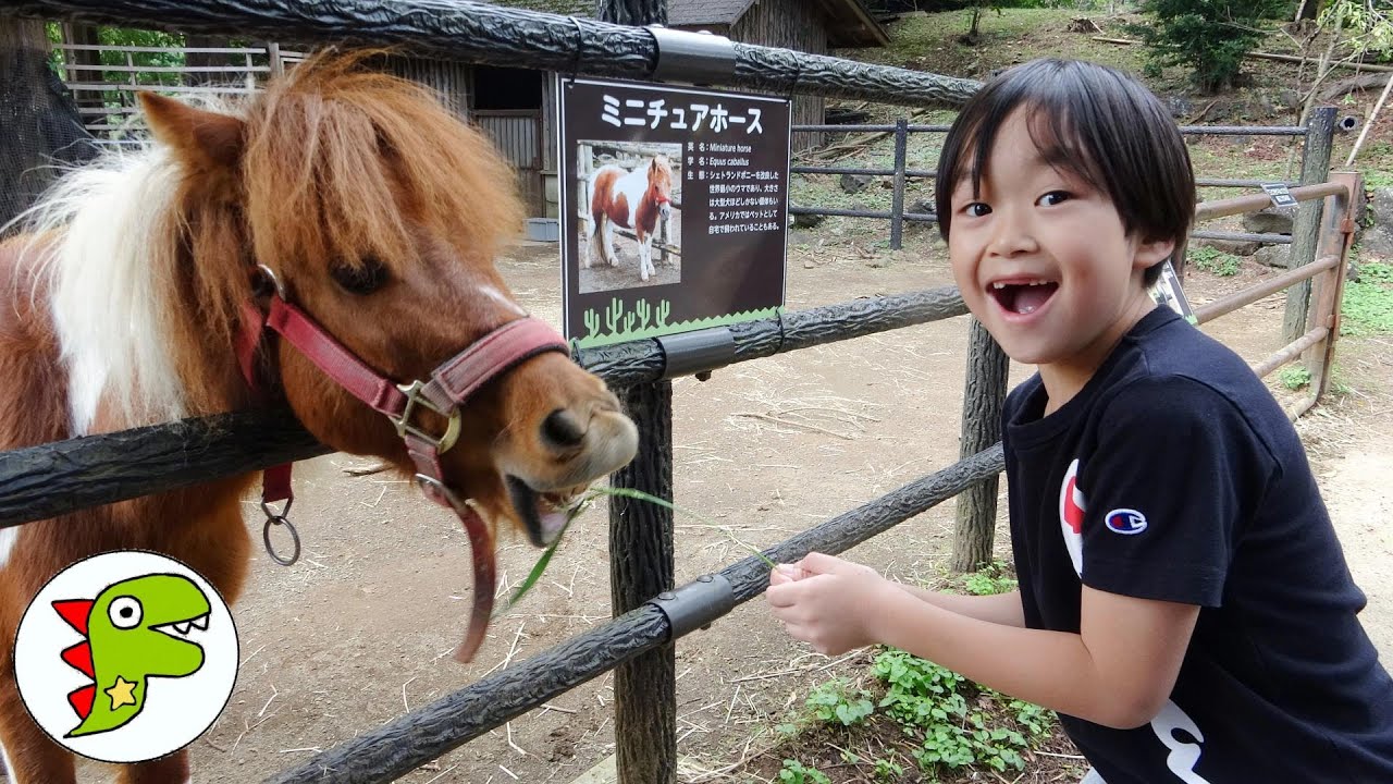 おでかけ 伊豆シャボテン動物公園へいったよ！どうぶつさんにエサをあげるよ！ZOO トイキッズ