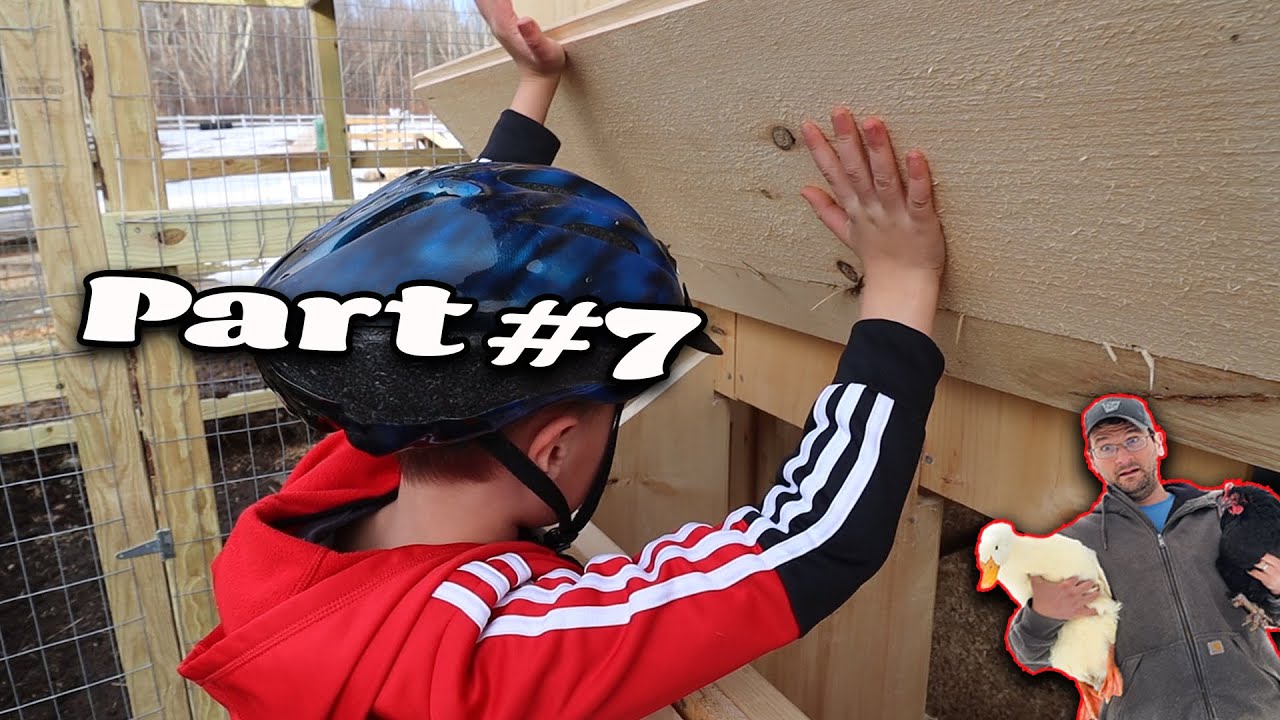 It's open - How to build a DUCK & Chicken combo coop - Part 7