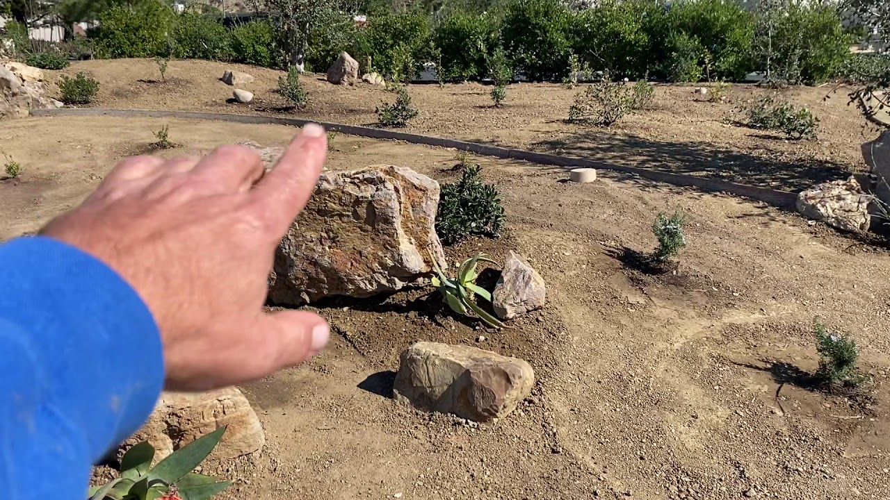 Mt. Sinai Simi Valley - Drip, Planting And DG