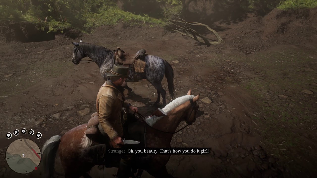 Red Dead Redemption 2 Messing with the Davison's a 2nd time