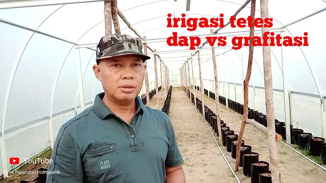 Cara membuat irigasi tetes menggunakan Dap vs grafitasi
