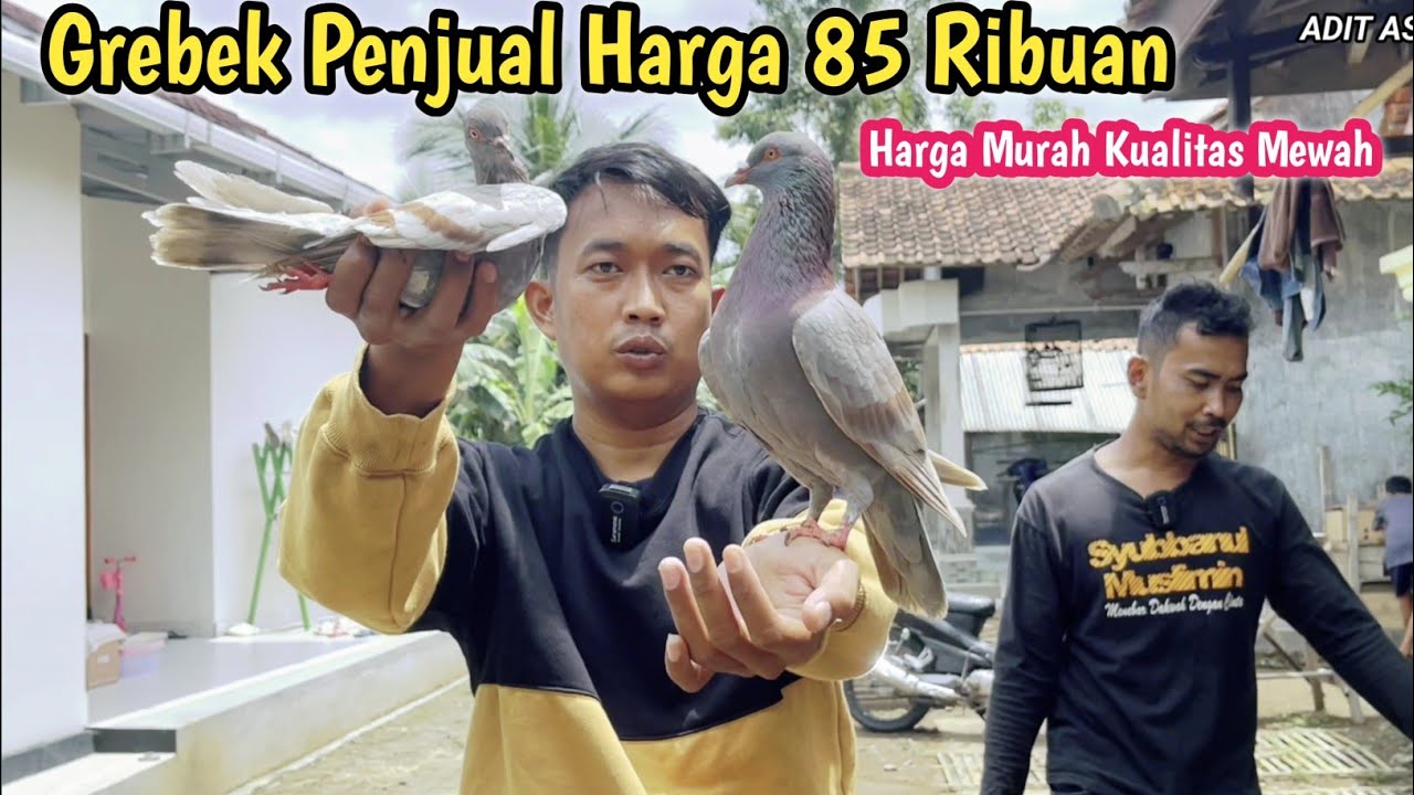 HARGA CUMA 85 RIBUAN DISINI STOK BANYAK