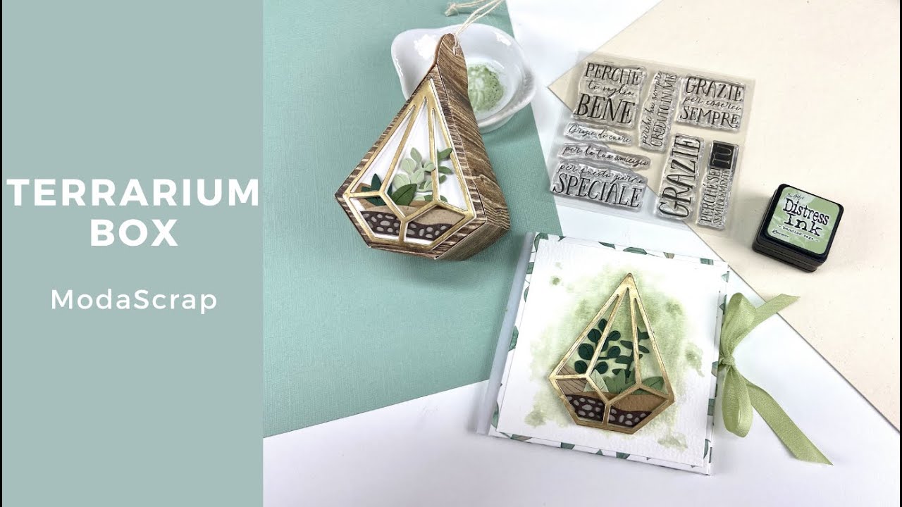 Terrarium Box - ModaScrap