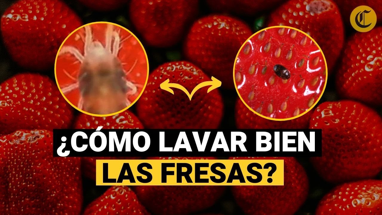 ¿CÓMO LAVAR FRESAS para EVITAR PARÁSITOS? 🍓