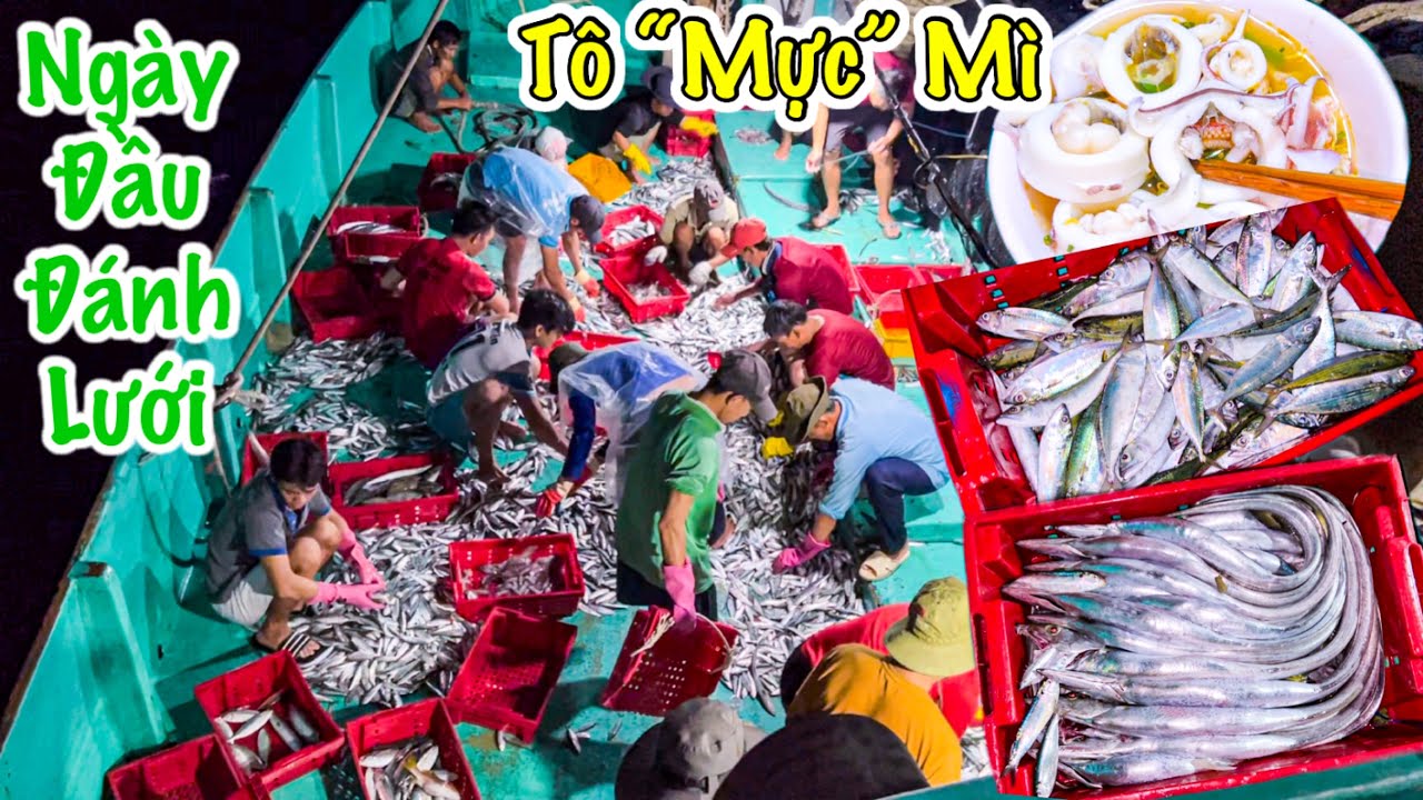 Lưới Thưa 2 | Vươn Khơi Đánh Vác Lưới Đầu Tiên | Thưởng Thức Mực Tươi Trên Biển | Sơn Phú Quốc