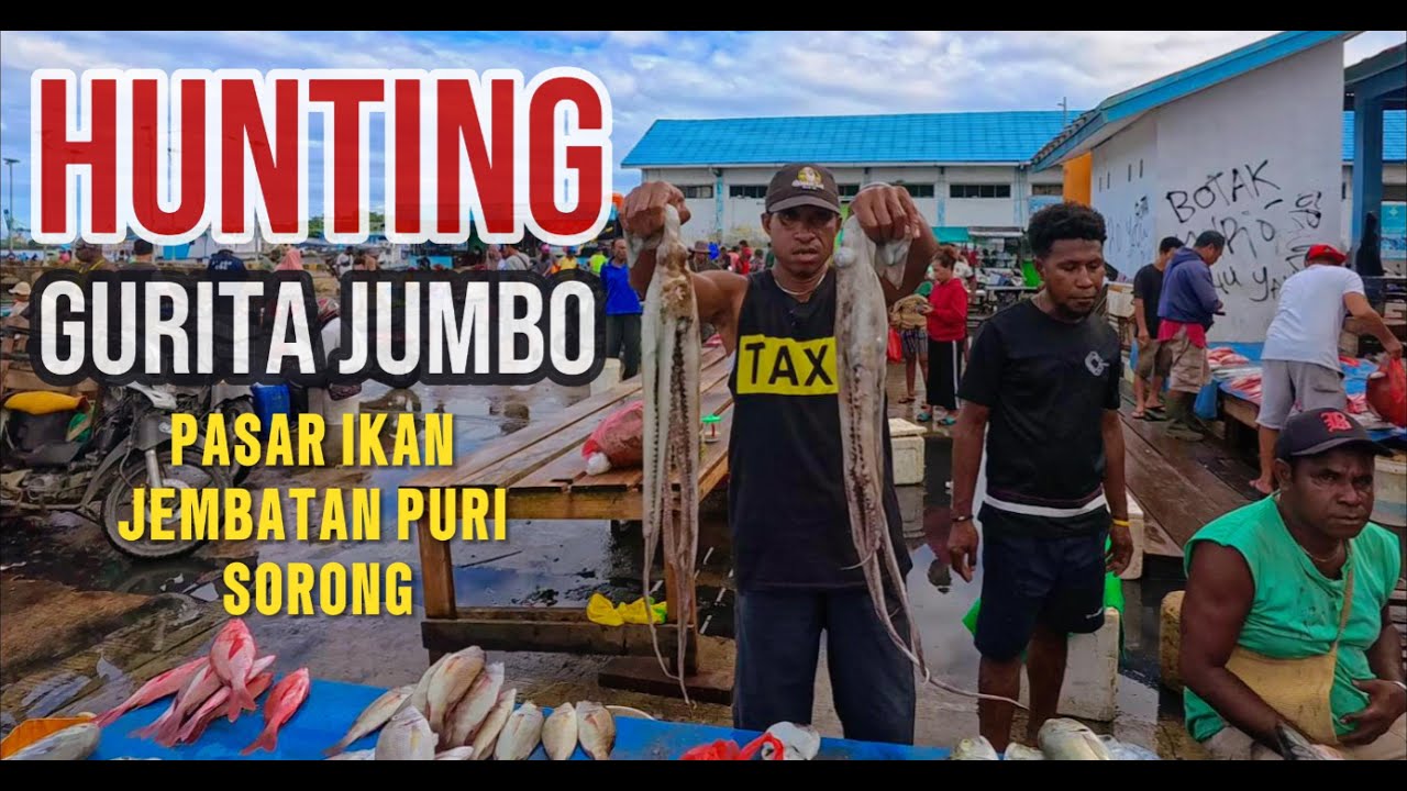 Hunting Gurita Jumbo di Pasar Ikan Jembatan Puri. Ada Ikan Mulut Jarum - 0046  #sorong   #papua