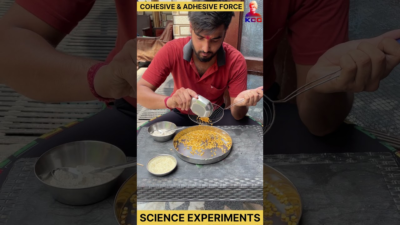 cohesive and adhesive force | science experiments |#experiment #science