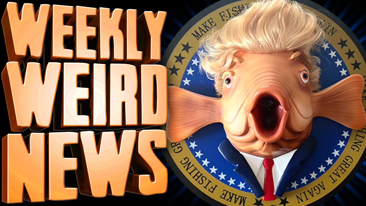 TRUMPY TROUT: They're Not Beating the 'Weird' Allegations - Weekly Weird News