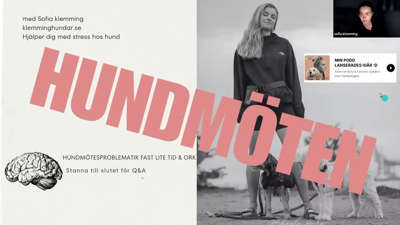 Hundmötesproblematik fast lite tid & ork (live webinar 27/1)