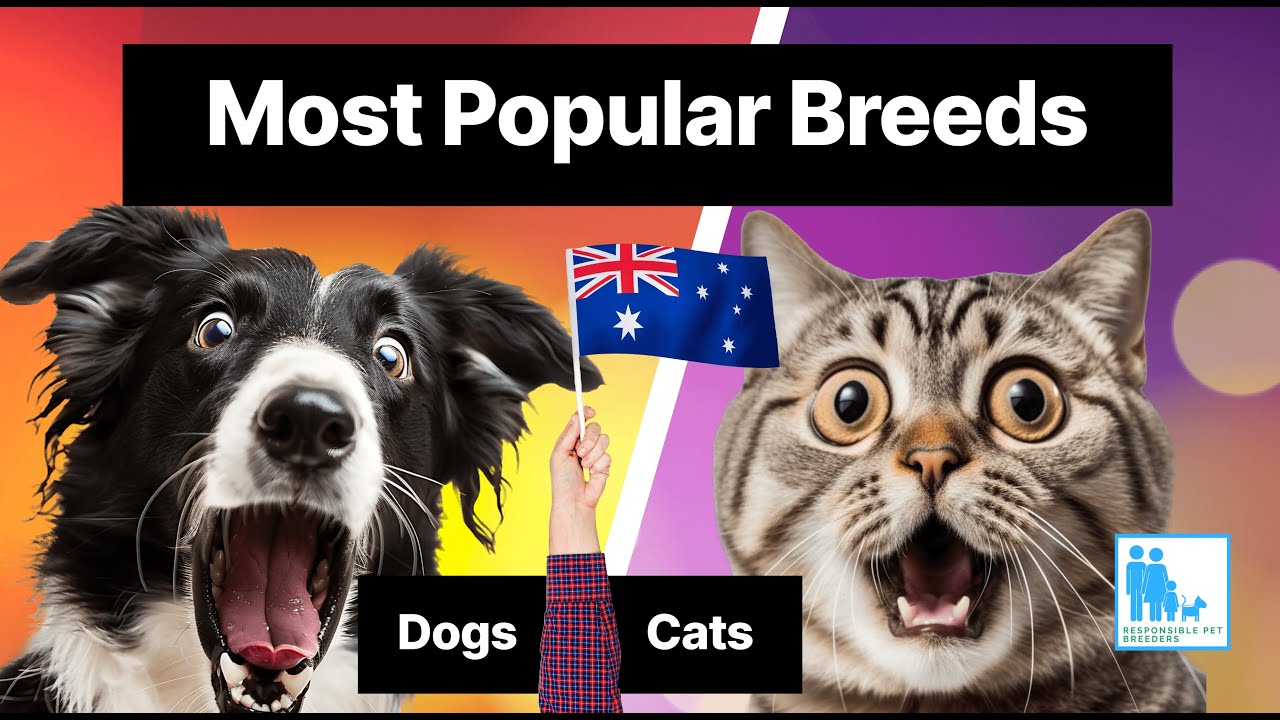 Most Popular Dog and Cat Breeds in Australia